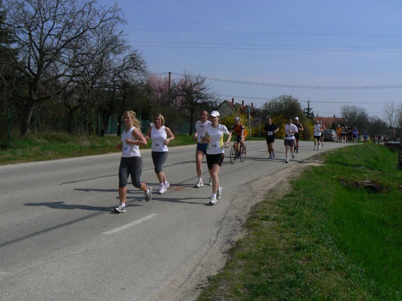 IV. Tóparti Futóparti Velencei-tó kör futás toparty_futoparty_futas_036.jpg toparty_futoparty_futas_036.jpg