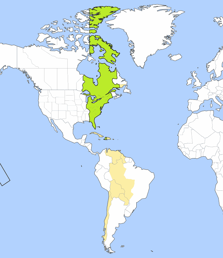 EST Estern Time Időzóna Észak és Dél Amerikában az USA-ban