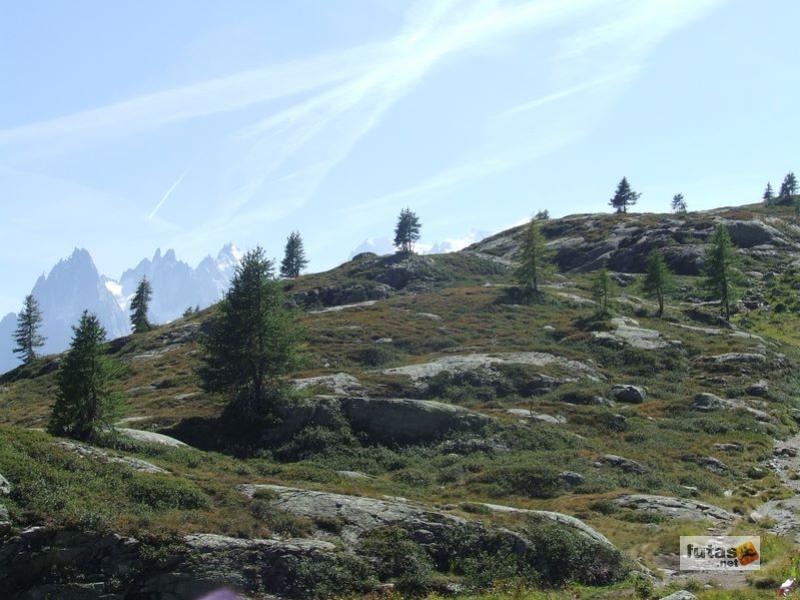 Ultra Trail du Mont-Blanc ultra_trail_du_mont_blanc_20230.jpg ultra_trail_du_mont_blanc_20230.jpg